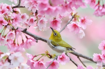 photos photo Tableau Peinture - Oiseau Oriole en fleurs de printemps peinture à partir de Photos à Art